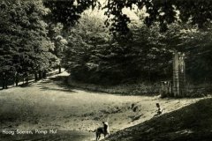 img46