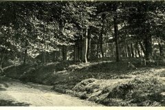 img48