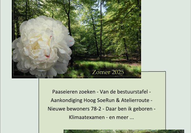 Omslag Zomer 2025